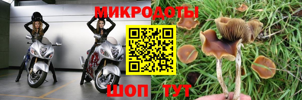 Псилоцибиновые грибы мицелий  Псилоцибиновые грибы прущие грибы  Артём  Вход с VPN 